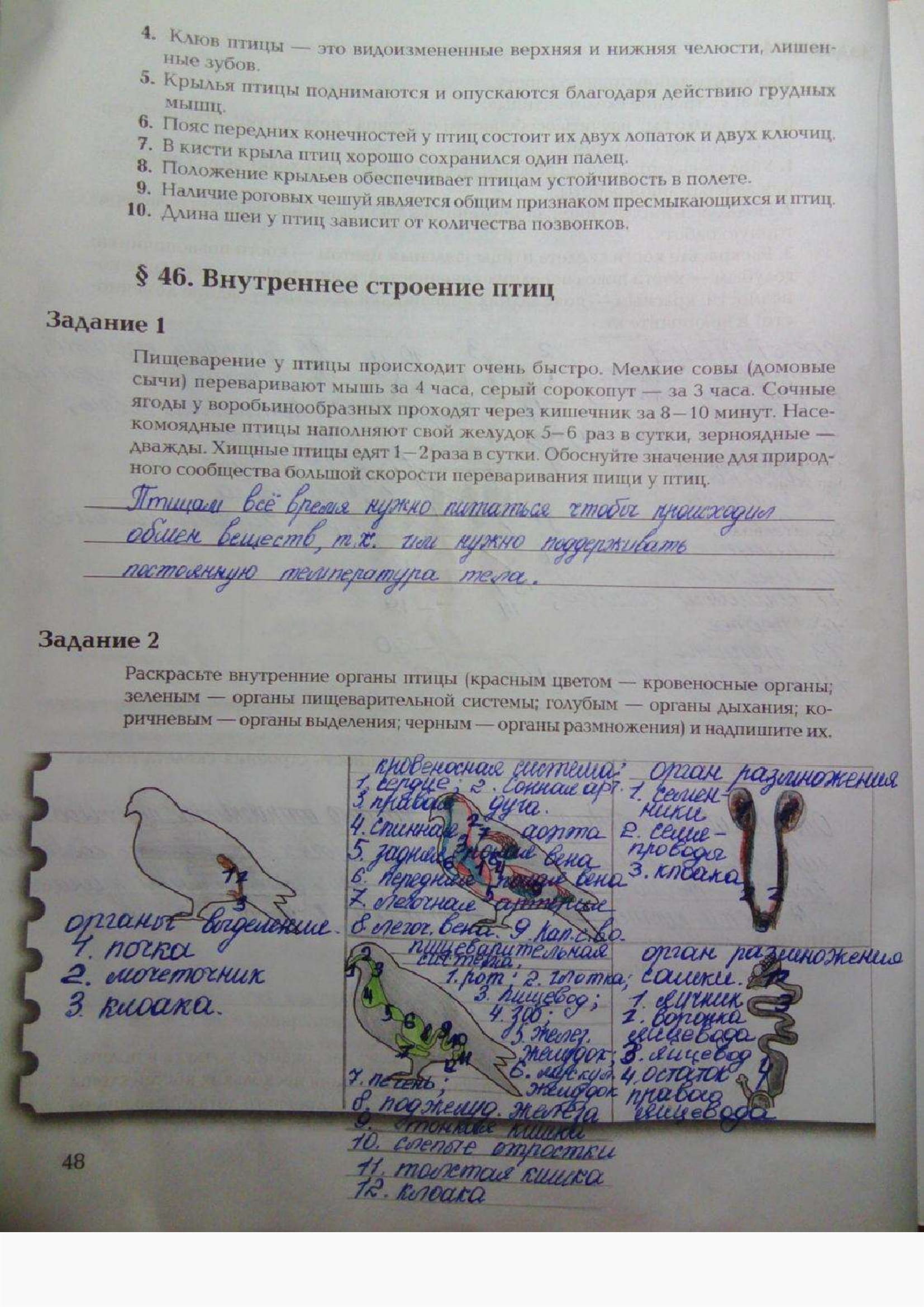 Страница (упражнение) 48 рабочей тетради. Ответ на вопрос упражнения 48 ГДЗ рабочая тетрадь по биологии 7 класс Суматохин, Кучменко