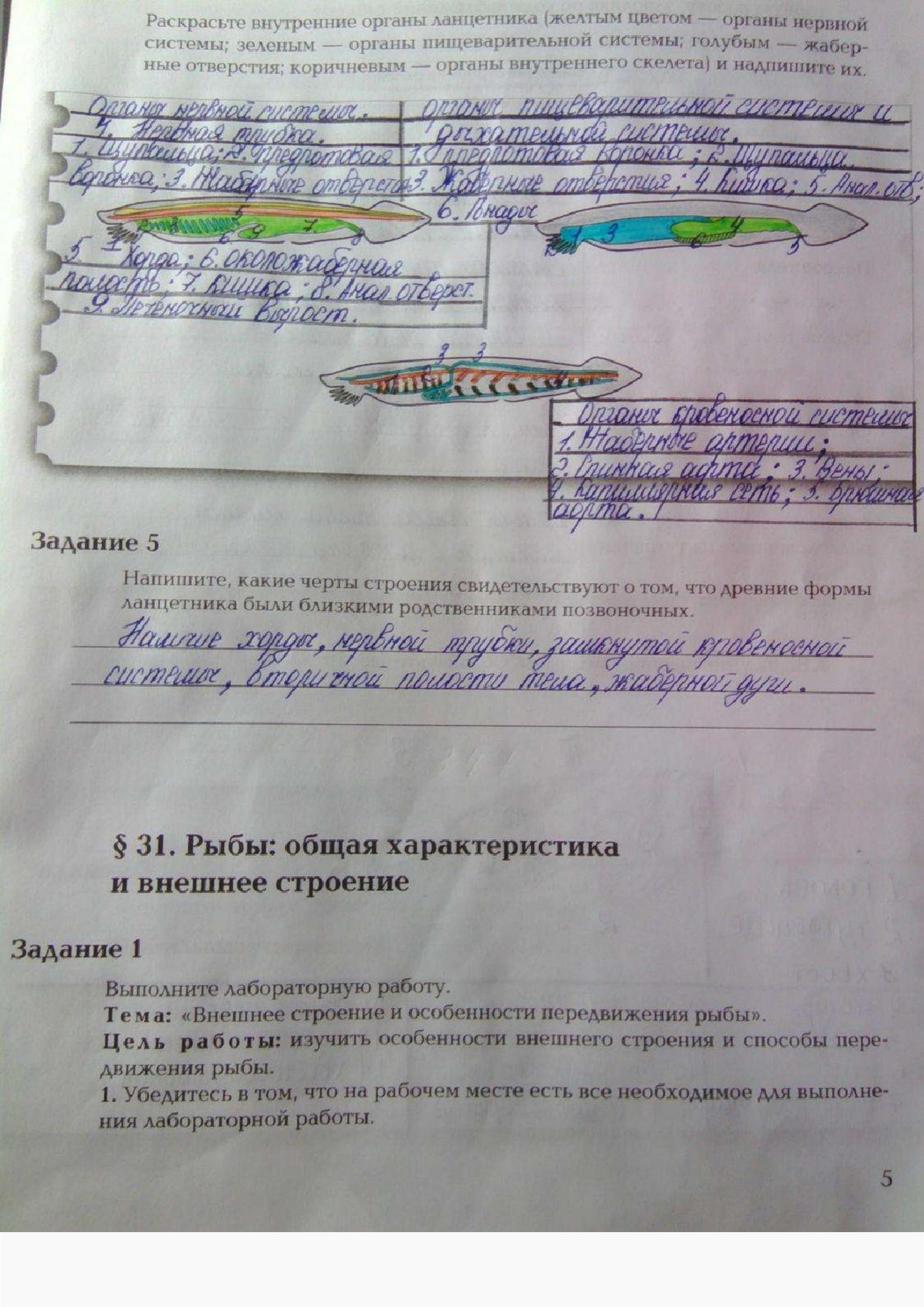 Страница (упражнение) 5 рабочей тетради. Ответ на вопрос упражнения 5 ГДЗ рабочая тетрадь по биологии 7 класс Суматохин, Кучменко