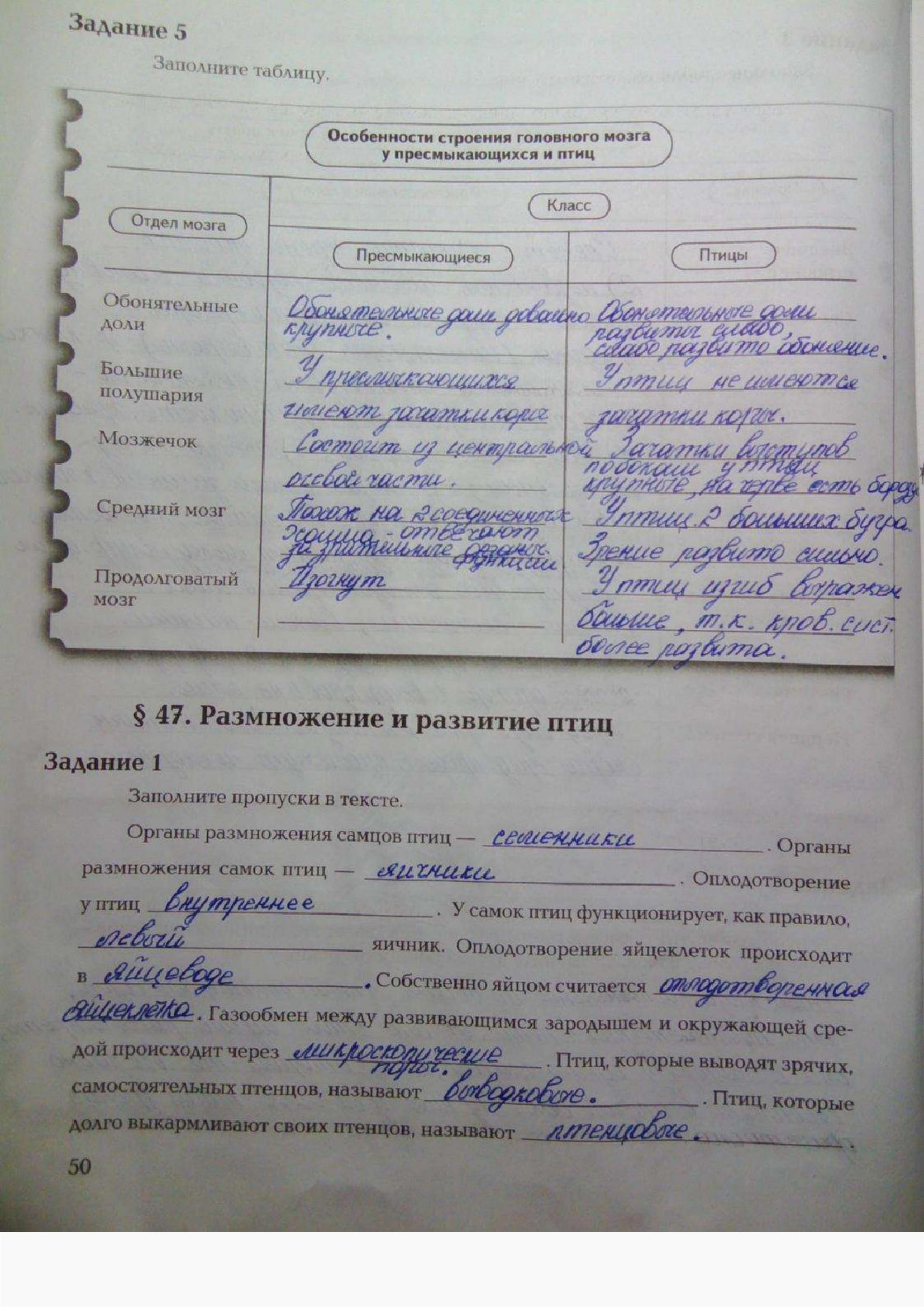 Страница (упражнение) 50 рабочей тетради. Ответ на вопрос упражнения 50 ГДЗ рабочая тетрадь по биологии 7 класс Суматохин, Кучменко