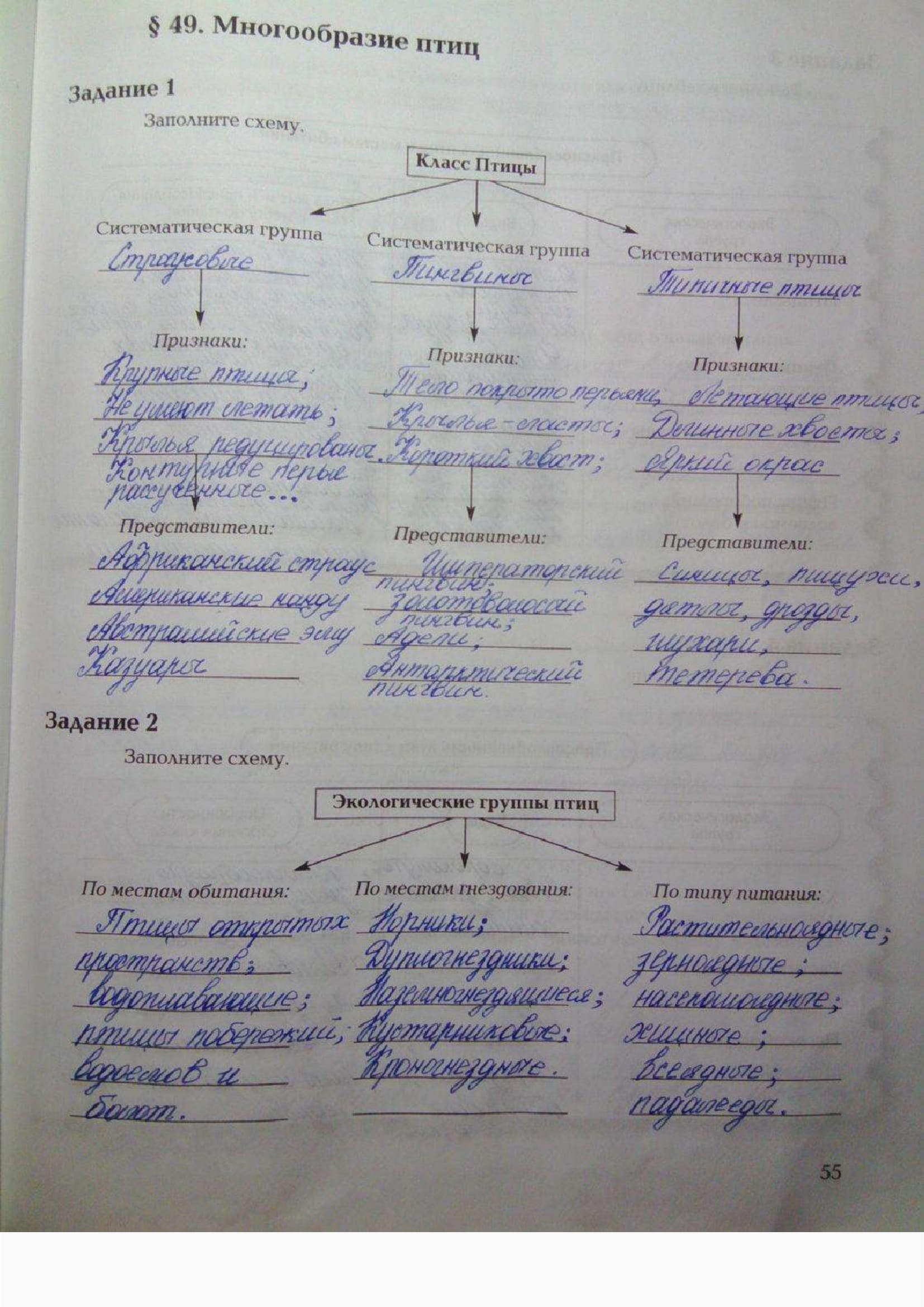 Страница (упражнение) 55 рабочей тетради. Ответ на вопрос упражнения 55 ГДЗ рабочая тетрадь по биологии 7 класс Суматохин, Кучменко