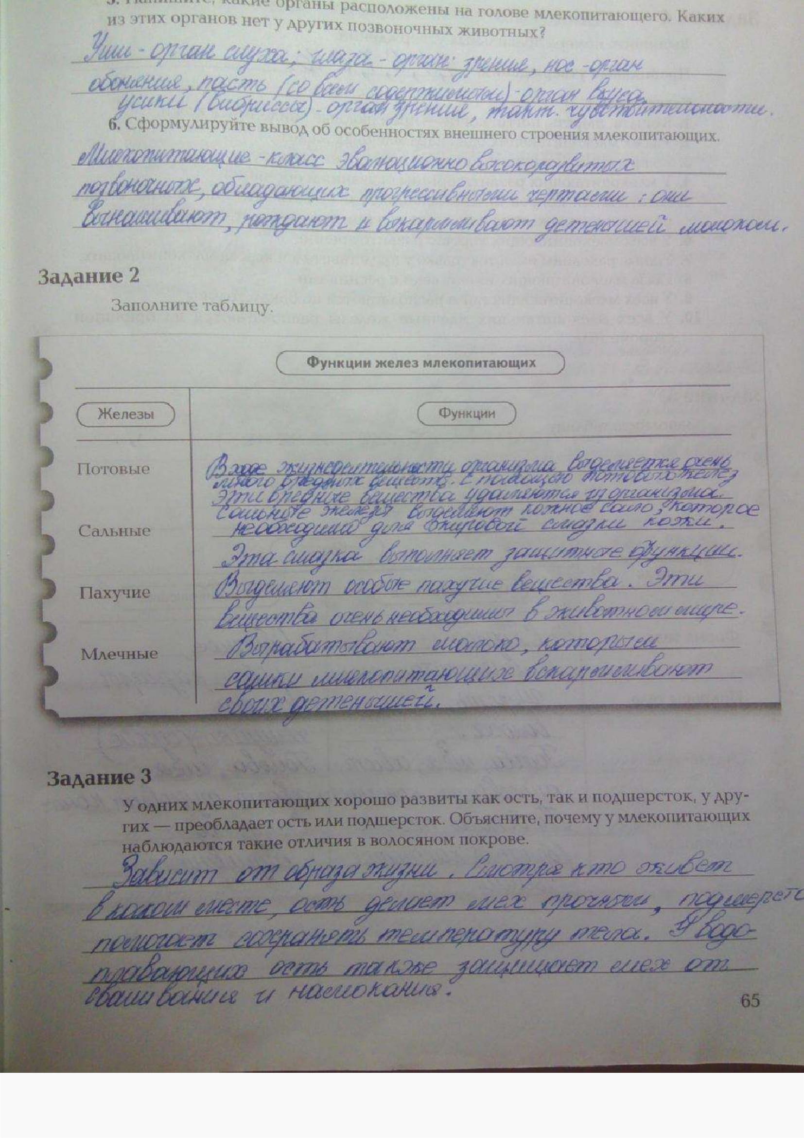 Страница (упражнение) 65 рабочей тетради. Ответ на вопрос упражнения 65 ГДЗ рабочая тетрадь по биологии 7 класс Суматохин, Кучменко