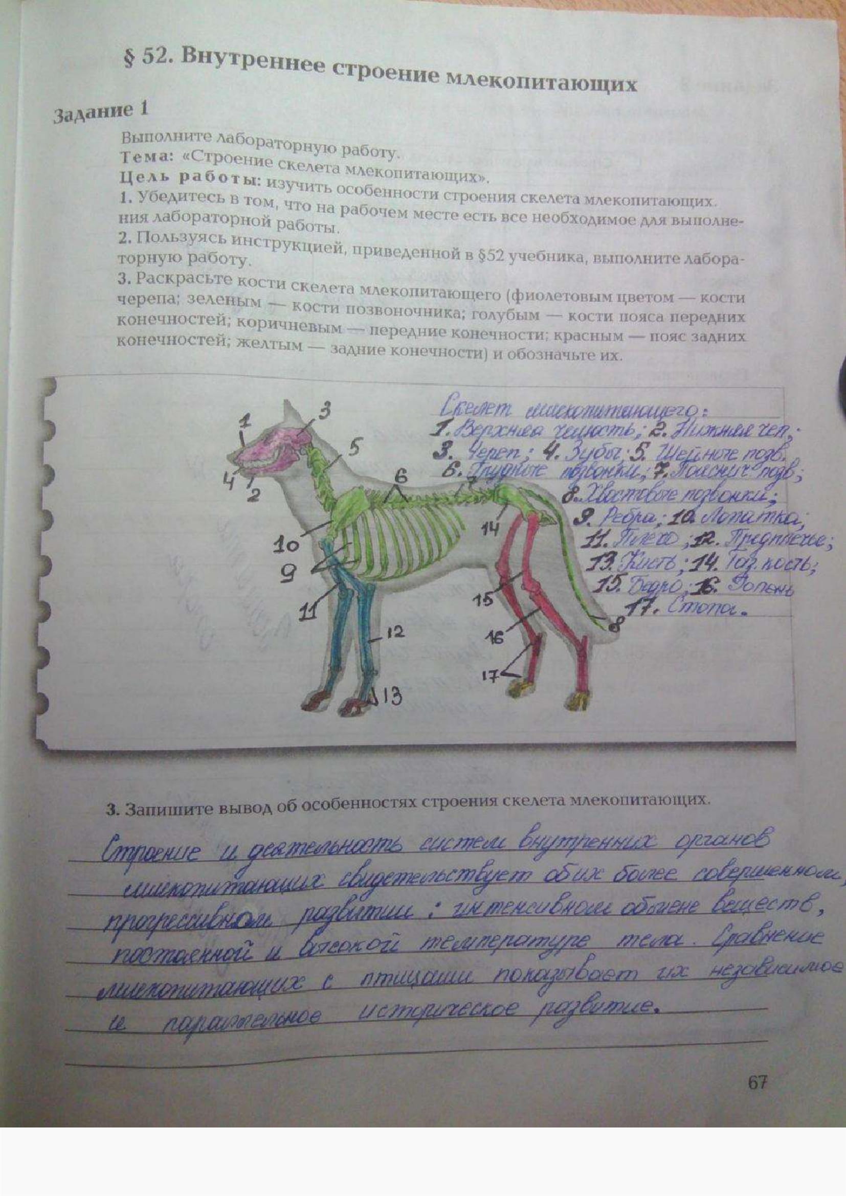 Страница (упражнение) 67 рабочей тетради. Ответ на вопрос упражнения 67 ГДЗ рабочая тетрадь по биологии 7 класс Суматохин, Кучменко