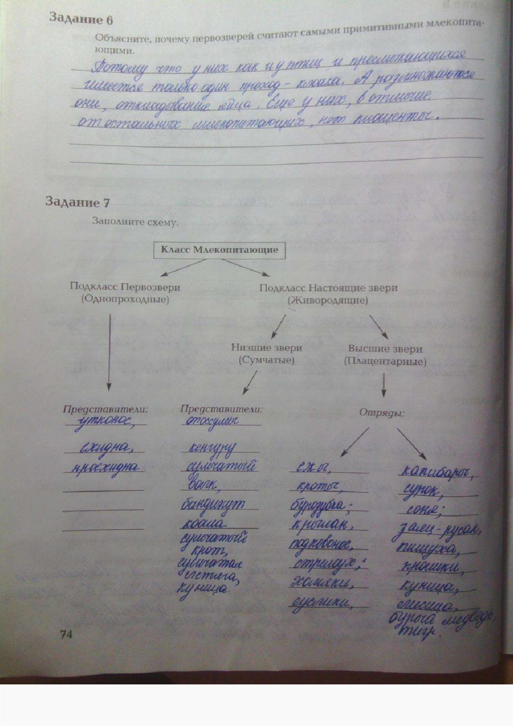 Страница (упражнение) 74 рабочей тетради. Ответ на вопрос упражнения 74 ГДЗ рабочая тетрадь по биологии 7 класс Суматохин, Кучменко