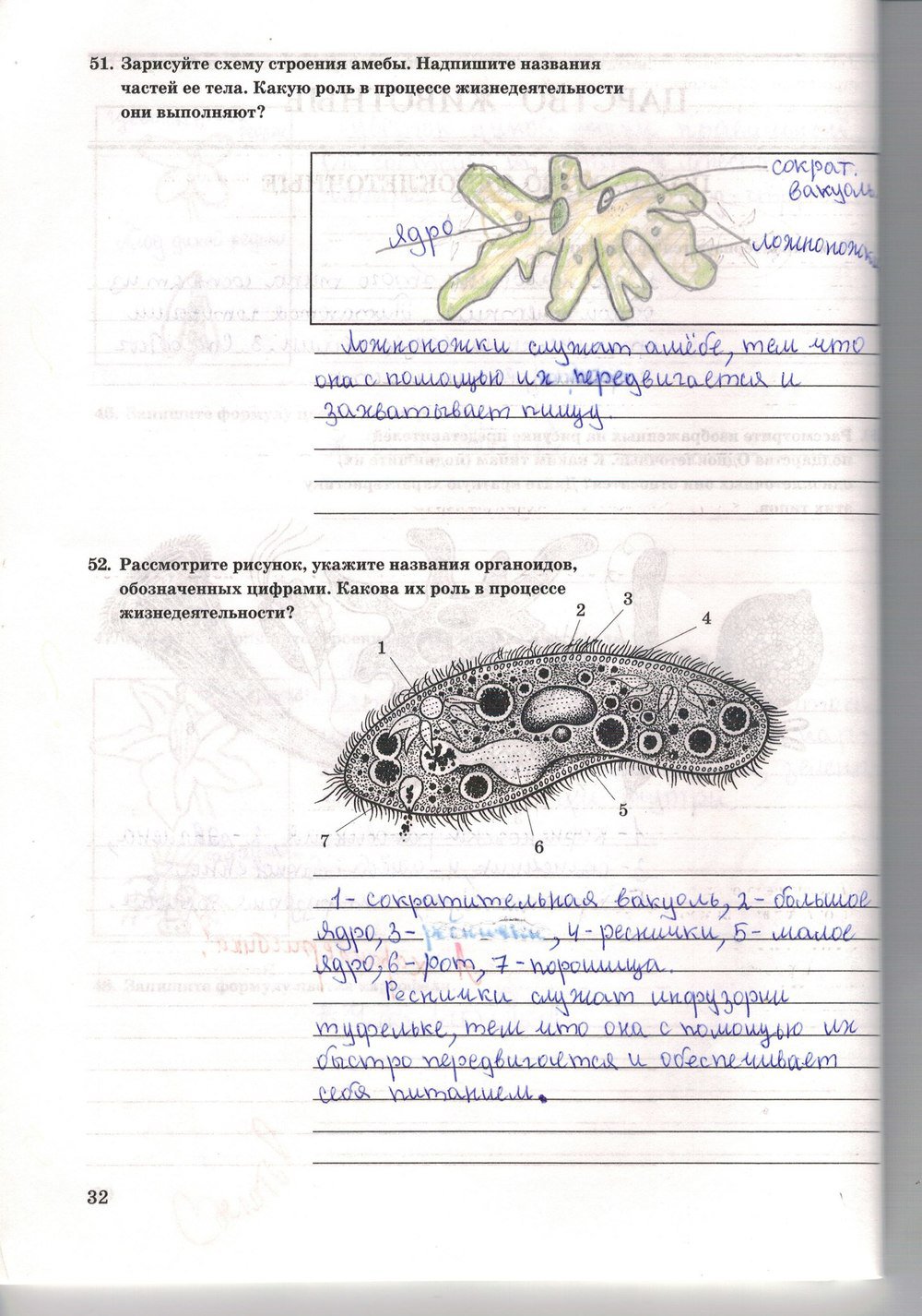 Рабочая тетрадь по биологии 7 класс Захаров