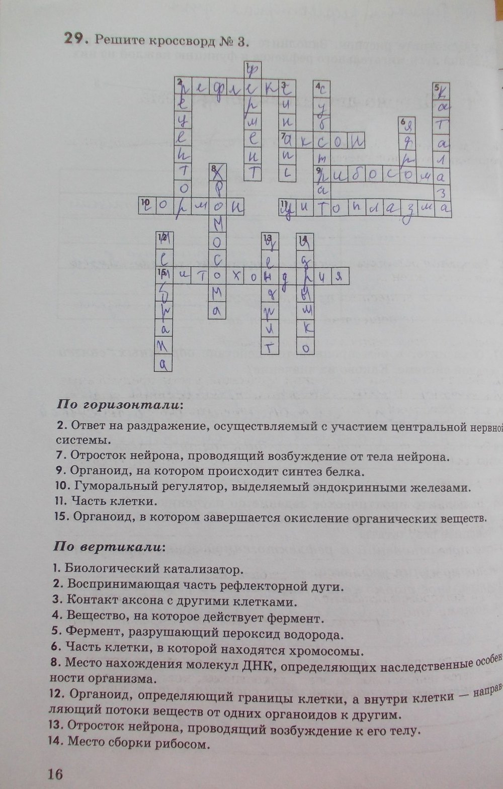 Страница (упражнение) 16 рабочей тетради. Страница 16 ГДЗ рабочая тетрадь по биологии 8 класс Колёсов, Маш, Беляев