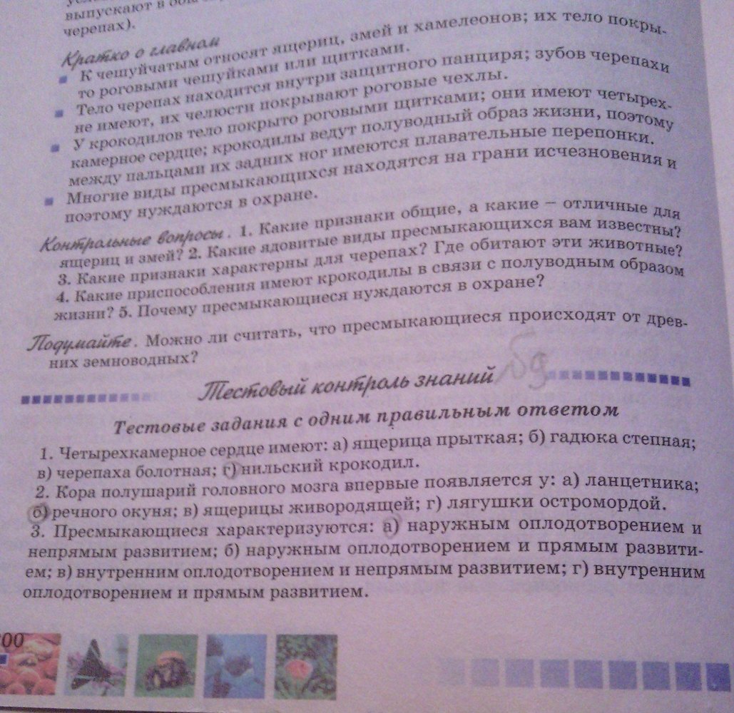 Страница (упражнение) 100 рабочей тетради. Страница 100 ГДЗ рабочая тетрадь по биологии 8 класс Серебряков