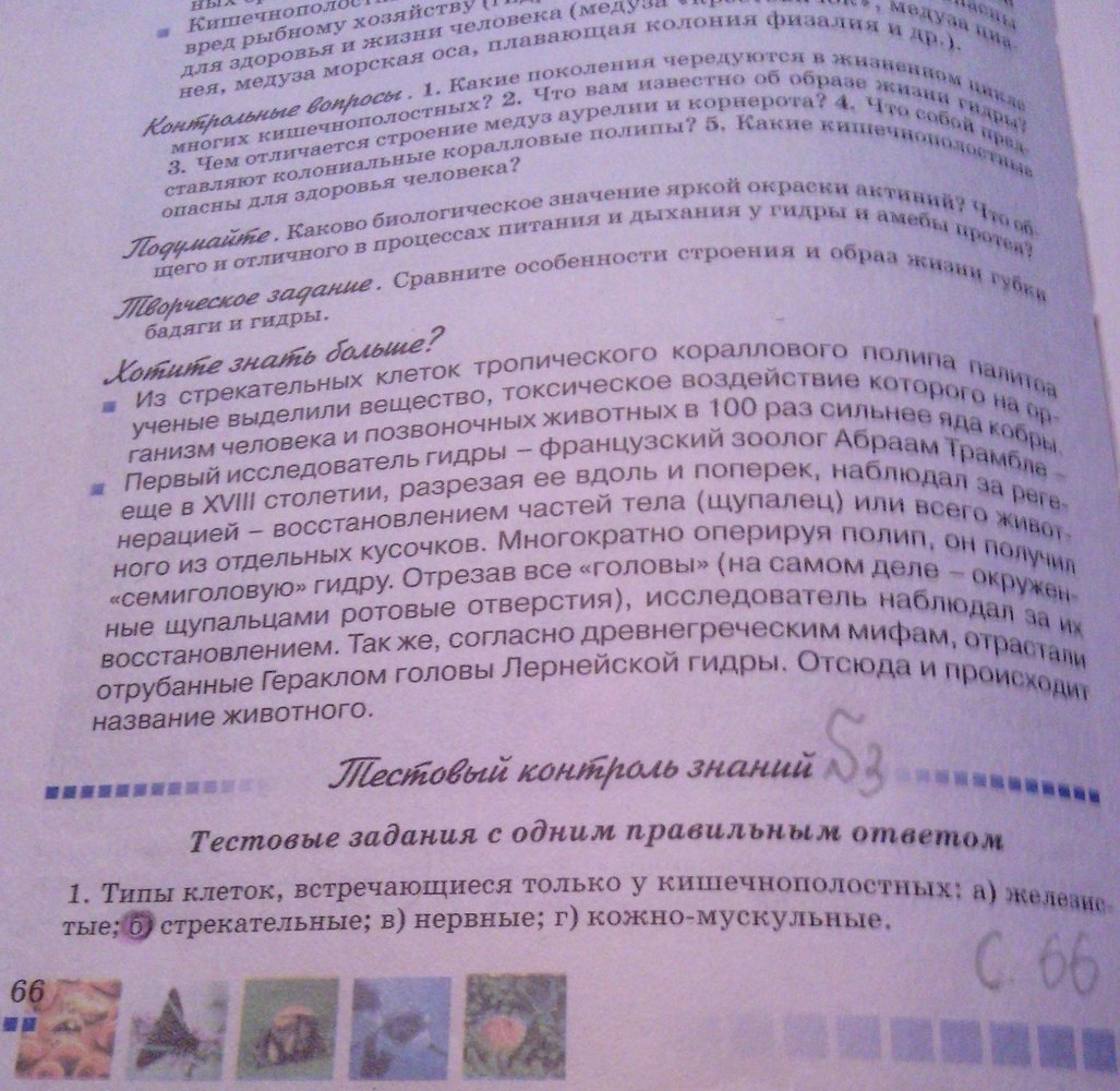 Страница (упражнение) 66 рабочей тетради. Страница 66 ГДЗ рабочая тетрадь по биологии 8 класс Серебряков