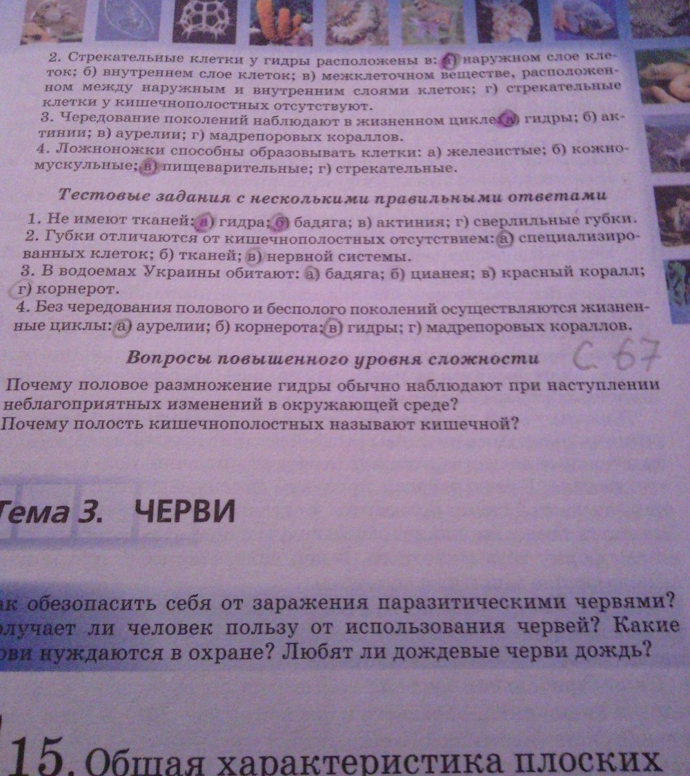 Страница (упражнение) 67 рабочей тетради. Страница 67 ГДЗ рабочая тетрадь по биологии 8 класс Серебряков