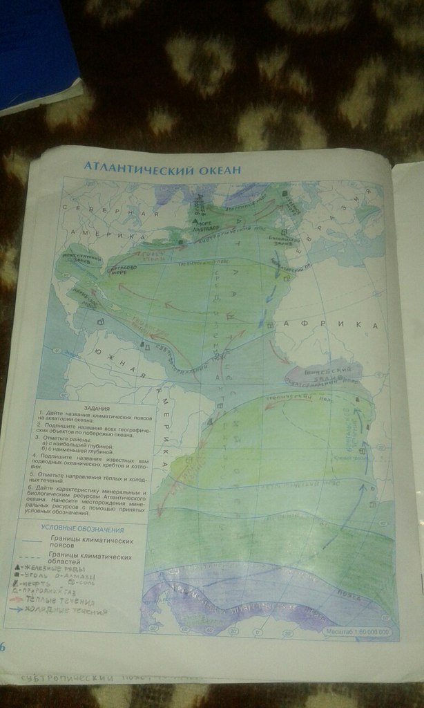 Страница (упражнение) Атлантический Океан рабочей тетради. Страница Атлантический Океан ГДЗ контурные карты по географии 7 класс Курбский