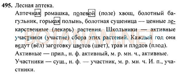 Страница (упражнение) 495 учебника. Ответ на вопрос упражнения 495 ГДЗ Решебник по Русскому языку 3 класс Рамзаева