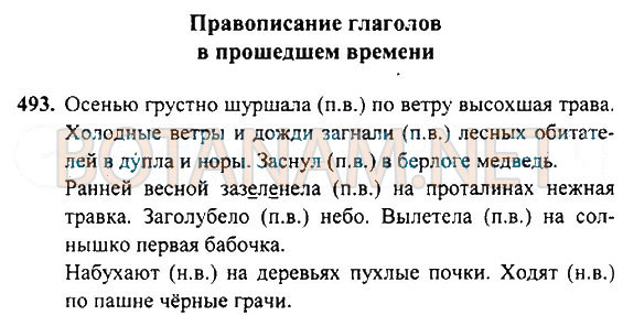 Страница (упражнение) 493 учебника. Ответ на вопрос упражнения 493 ГДЗ Решебник по Русскому языку 4 класс Рамзаева