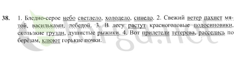 Страница (упражнение) 38 учебника. Ответ на вопрос упражнения 38 ГДЗ решебник по русскому языку 4 класс Канакина, Горецкий