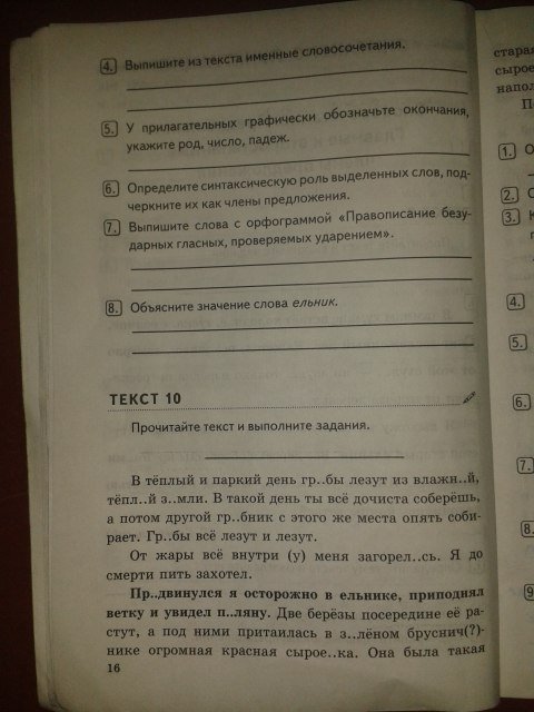Страница (упражнение) 16 рабочей тетради. Страница 16 ГДЗ рабочая тетрадь по Русскому языку 5 класс Влодавская